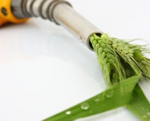 iStock_000016461008Small